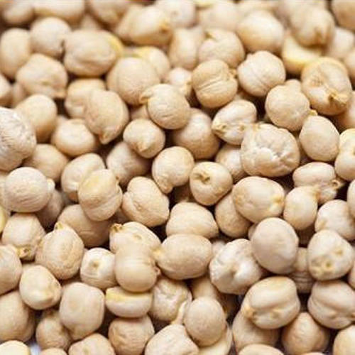 organic-kabuli-chana